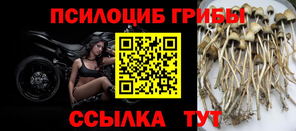 Галлюциногенные грибы прущие грибы Шали