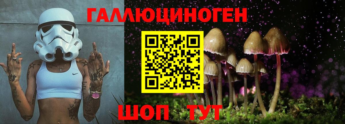 Псилоцибиновые грибы Psilocybine cubensis  Вход с VPN  как найти закладки  Шали 